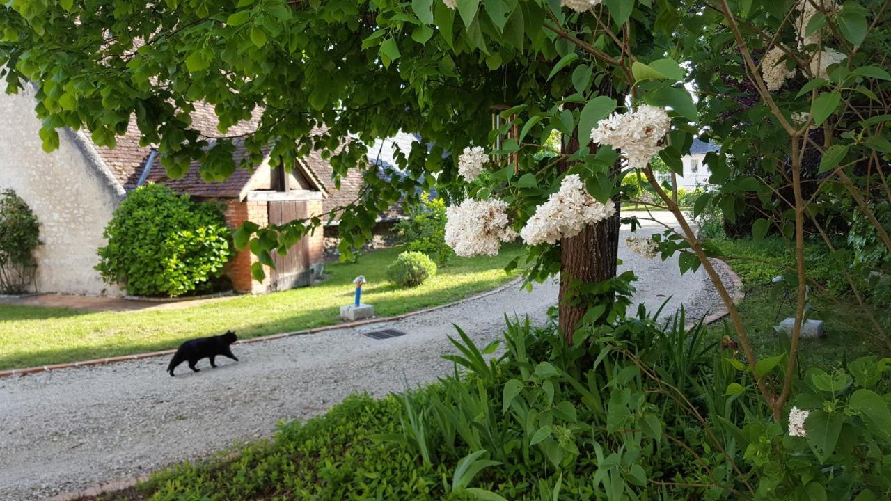 Closerie Des Laudieres Vineuil  ภายนอก รูปภาพ